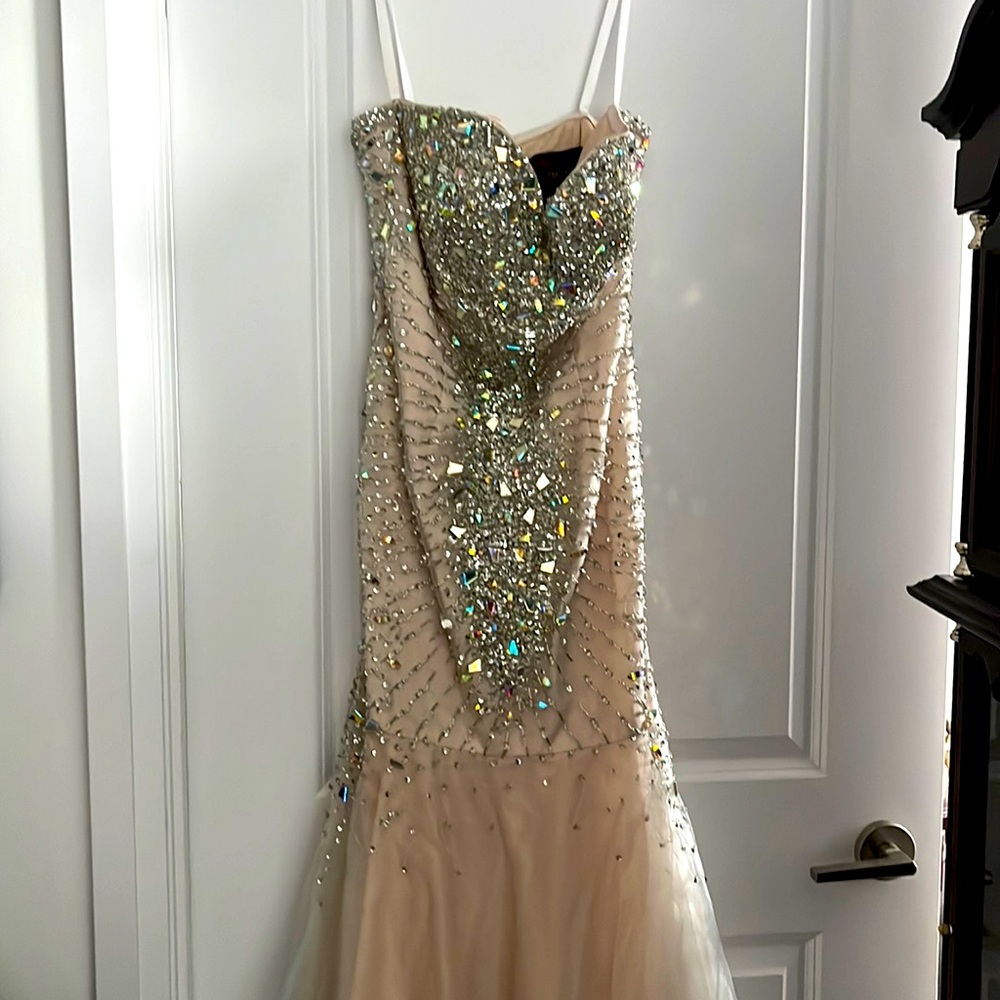 Brand new never worn glamour by terani couture